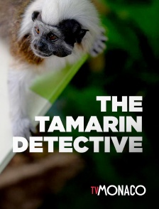 TV Monaco - The Tamarin Detective