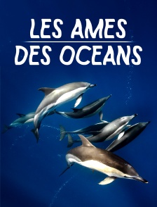 Les âmes des océans