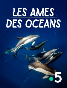 France 5 - Les âmes des océans