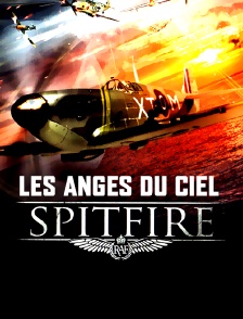 Spitfire, les anges du ciel