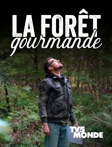 TV5MONDE - La forêt gourmande