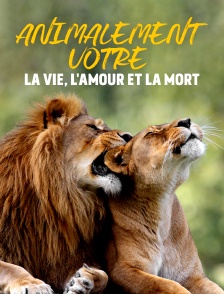 Animalement vôtre : La vie, l'amour et la mort