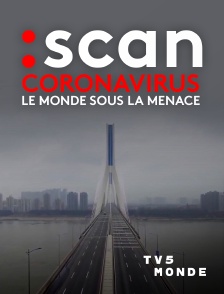 TV5MONDE - Coronavirus : Le monde sous la menace