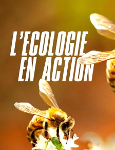 L'écologie en action
