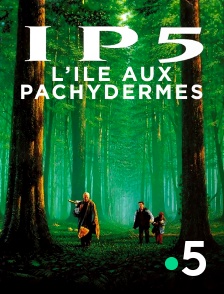 IP5, l'île aux pachydermes