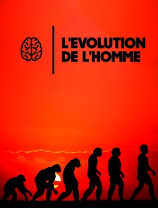 L'évolution de l'Homme