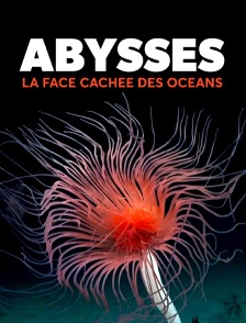 Abysses, la face cachée des océans