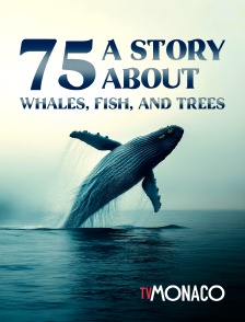 TV Monaco - 75: A Story About Whales, Fish, and Trees en replay