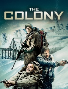 The colony