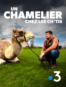 France 3 - Julien, un chamelier chez les Ch'tis