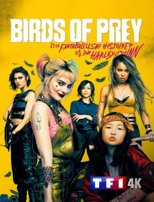 TF1 4K - Birds of Prey et la fantabuleuse histoire de Harley Quinn
