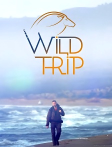 Wild Trip