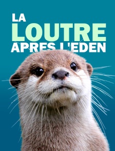 La loutre après l'eden