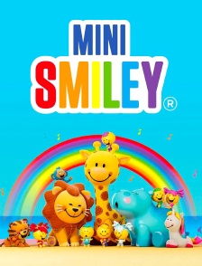 Mini Smiley