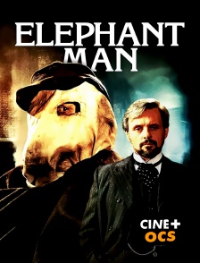 CINÉ Cinéma - Elephant Man