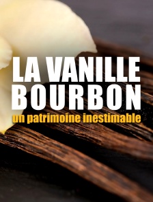 La vanille bourbon, un patrimoine inestimable