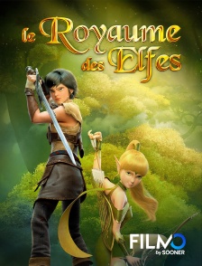 FilmoTV - Le royaume des elfes