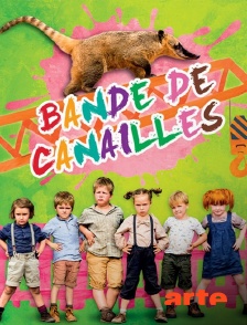 Arte - Bande de canailles