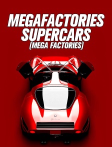 MEGAFACTORIES