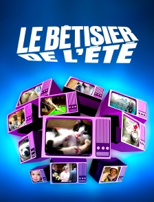 Le bêtisier de l'été