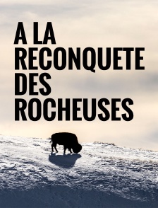A la reconquête des Rocheuses