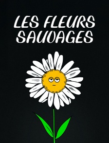 Les fleurs sauvages