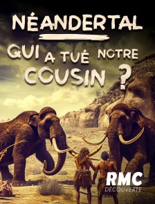 Néandertal : qui a tué notre cousin ?