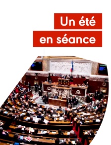 Un été en séance