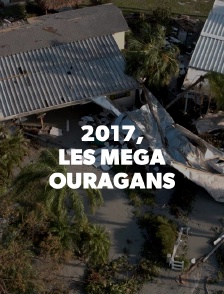 2017, les mégas ouragans