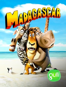 Gulli - Madagascar