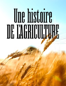 Une histoire de l'agriculture