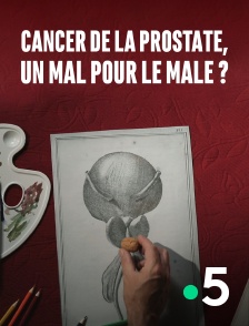 France 5 - Cancer de la prostate, un mal pour le mâle?