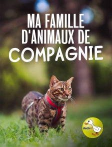 Duck TV - Ma famille d'animaux de compagnie