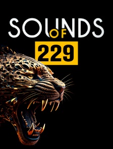 Sounds of 229