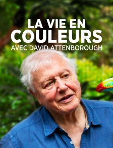 La vie en couleurs avec David Attenborough