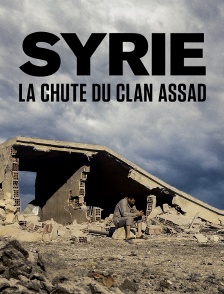 Syrie : la chute du clan Assad