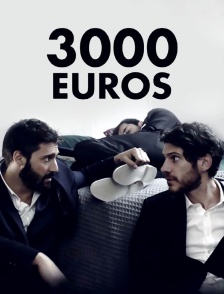 3000 euros