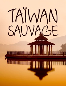 Taïwan sauvage