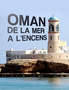 Oman, de la mer à l'encens