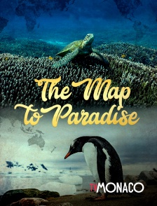 The Map To Paradise