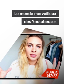 Public Sénat - Le monde merveilleux des Youtubeuses