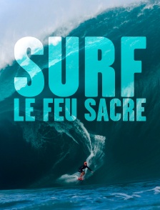 Surf, le feu sacré