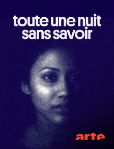 Arte - Toute une nuit sans savoir