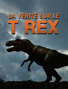 La vérité sur le T rex