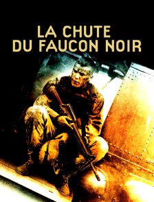La chute du Faucon noir