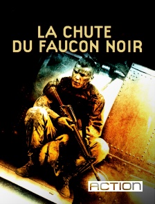 ACTION - La chute du Faucon noir