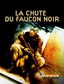 La chute du Faucon noir