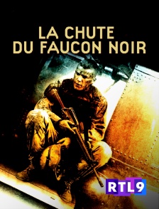 La chute du Faucon noir