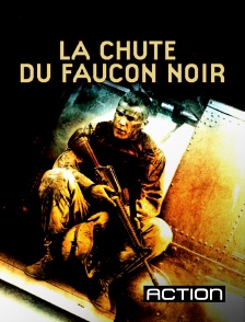 Action - La chute du Faucon noir