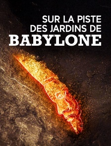 Sur la piste des jardins de Babylone